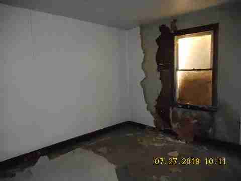 16737 Dolphin (17)_m.jpg